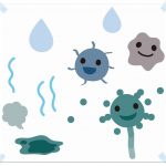 【バリはやッ！】梅雨前のカビ対策！プロが教えるカビ除去と除菌の方法！